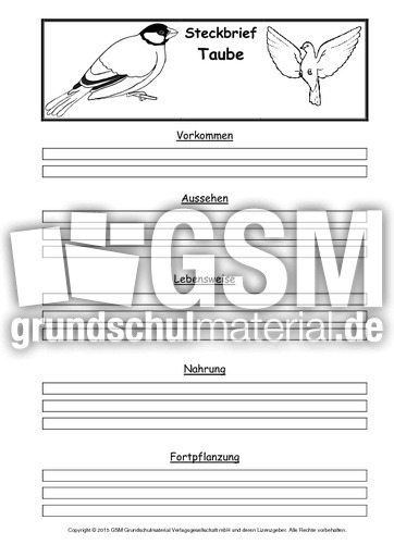 Steckbriefvorlage-Taube.pdf